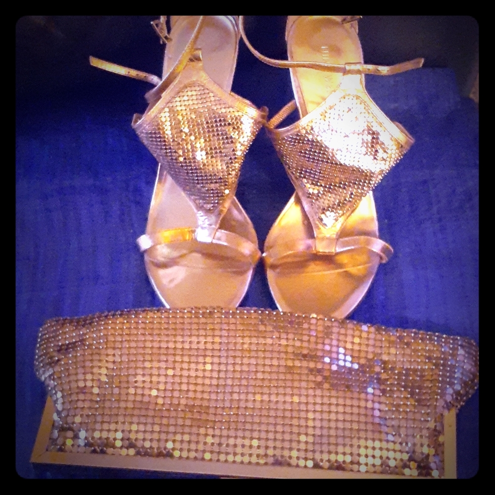 Shoes and purse set